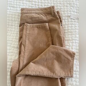 Talbots corduroy jegging women’s 16 petite 16P nwt
